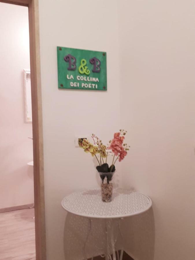B&B La Collina Dei Poeti Катандзаро Екстер'єр фото